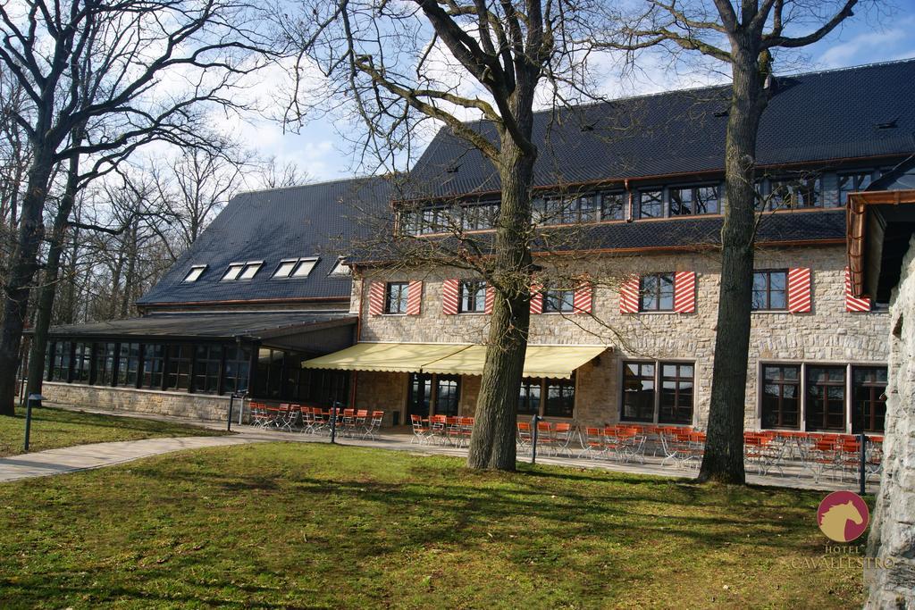 Cavallestro Classic Kitzingen Eksteriør bilde